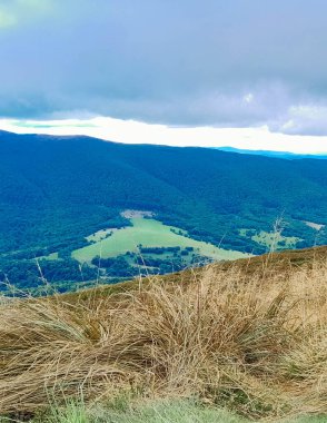 Dağın tepesinden Karpatların güzel manzarası. Doğanın güzelliği.