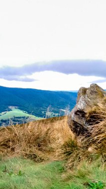 Dağın tepesinden Karpatların güzel manzarası. Doğanın güzelliği.