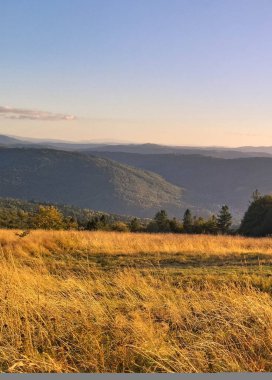 Güneydoğu Polonya 'daki Beskides Dağları. İnanılmaz bir doğa olayı..
