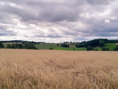 Kashubia 'daki çayır üzerinde kara bulutlar. Yağmurlu hava geliyor. Kuzey Polonya 'nın güzel doğası.
