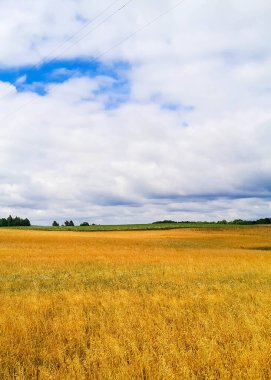 Kashubia 'daki çayır üzerinde kara bulutlar. Yağmurlu hava geliyor. Kuzey Polonya 'nın güzel doğası.