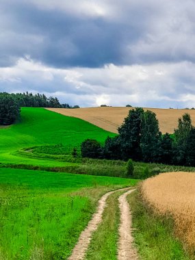 Kashubia 'daki tarlaların üzerindeki kara bulutlar. Yağmur yağacak. Kuzey Polonya 'nın güzel doğası.