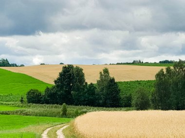 Kashubia 'daki tarlaların üzerindeki kara bulutlar. Yağmur yağacak. Kuzey Polonya 'nın güzel doğası.