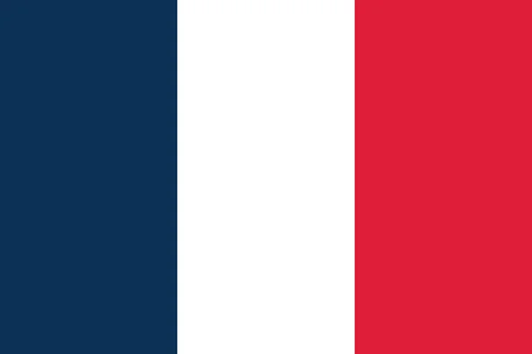 Image Vectorielle Drapeau France Basé Sur Les Dimensions Officielles Exactes — Image vectorielle