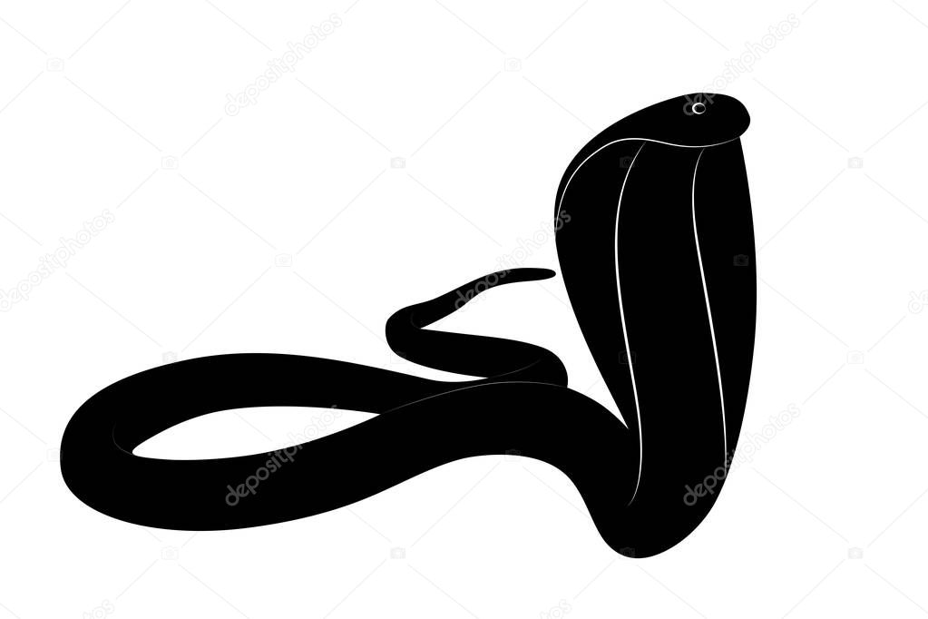 Vector illustration for the scary predator the king cobra snake in black and white