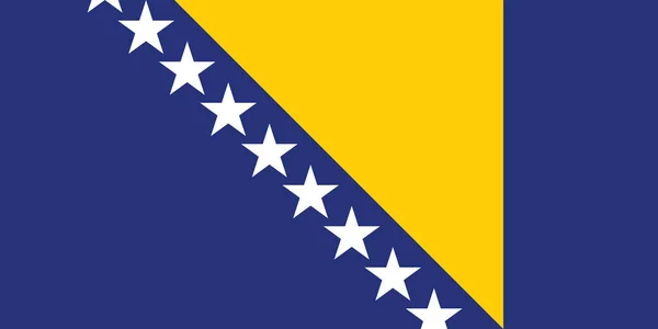 Immagine Vettoriale Della Bosnia Erzegovina Bandiera Sulla Base Delle Dimensioni — Vettoriale Stock