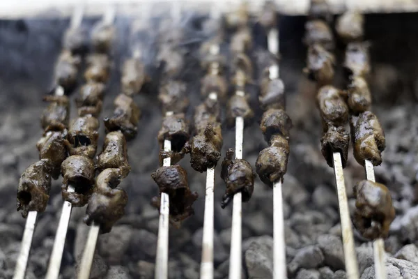 Şiş Kebap ve Barbekü, Lezzetli Izgara Et Şişler.