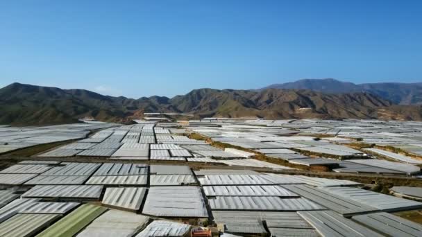 Vista Aérea Mayor Concentración Invernaderos Del Mundo Almería España — Vídeos de Stock