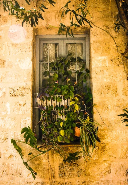 eski Yaffo penceresinde
