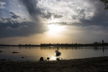 güzel yaz günbatımı güney Moravian gölet üzerinde