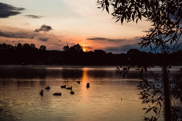Восходе Солнца Прогулки Воды Самые Красивые — стоковое фото