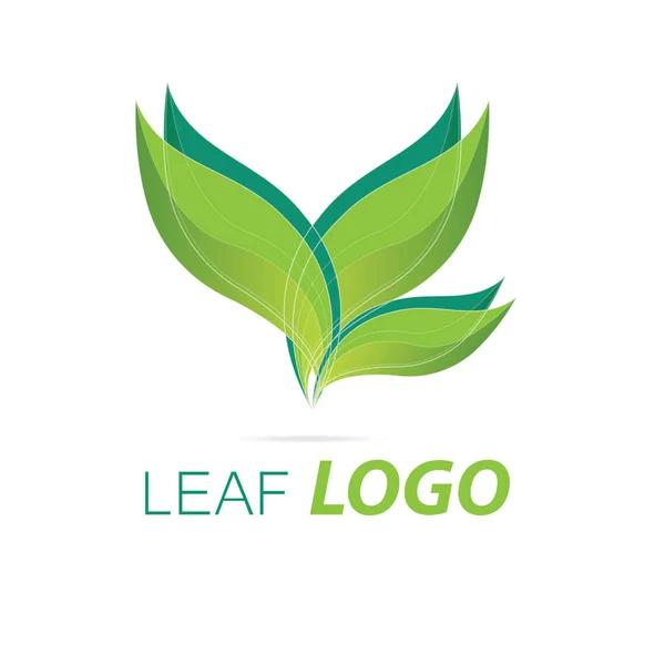 Grün Blatt Logo Grün Gesundheit Logo Vorlage Frische Pflanzen Blatt — Stockvektor