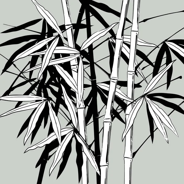 Kézzel rajzolt bambusz szárak levelekkel fekete-fehér — Stock Vector
