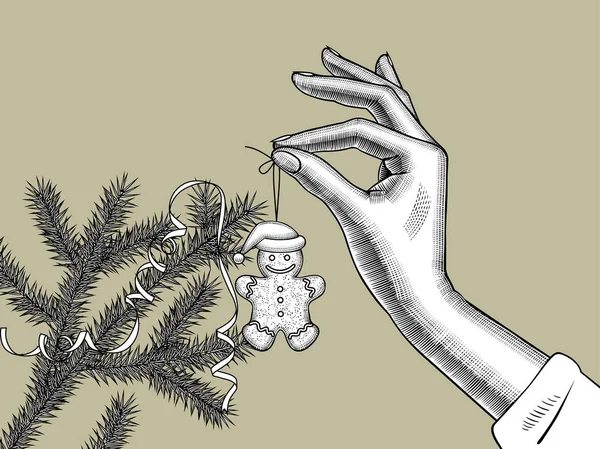 Bir Noel ağacı şube zekâ bir Gingerbread asılı Kadın el — Stok Vektör