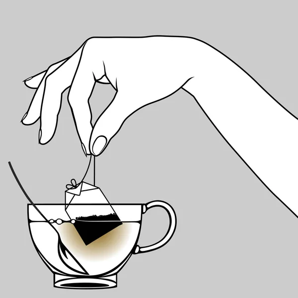 La mano femenina pone una bolsa de té en una taza de vidrio transparente con un spo — Vector de stock
