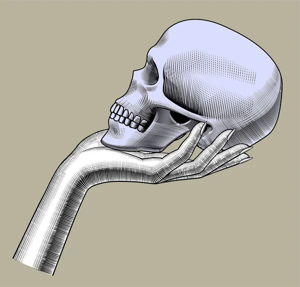 Main féminine tenant un crâne humain demi-visage — Image vectorielle