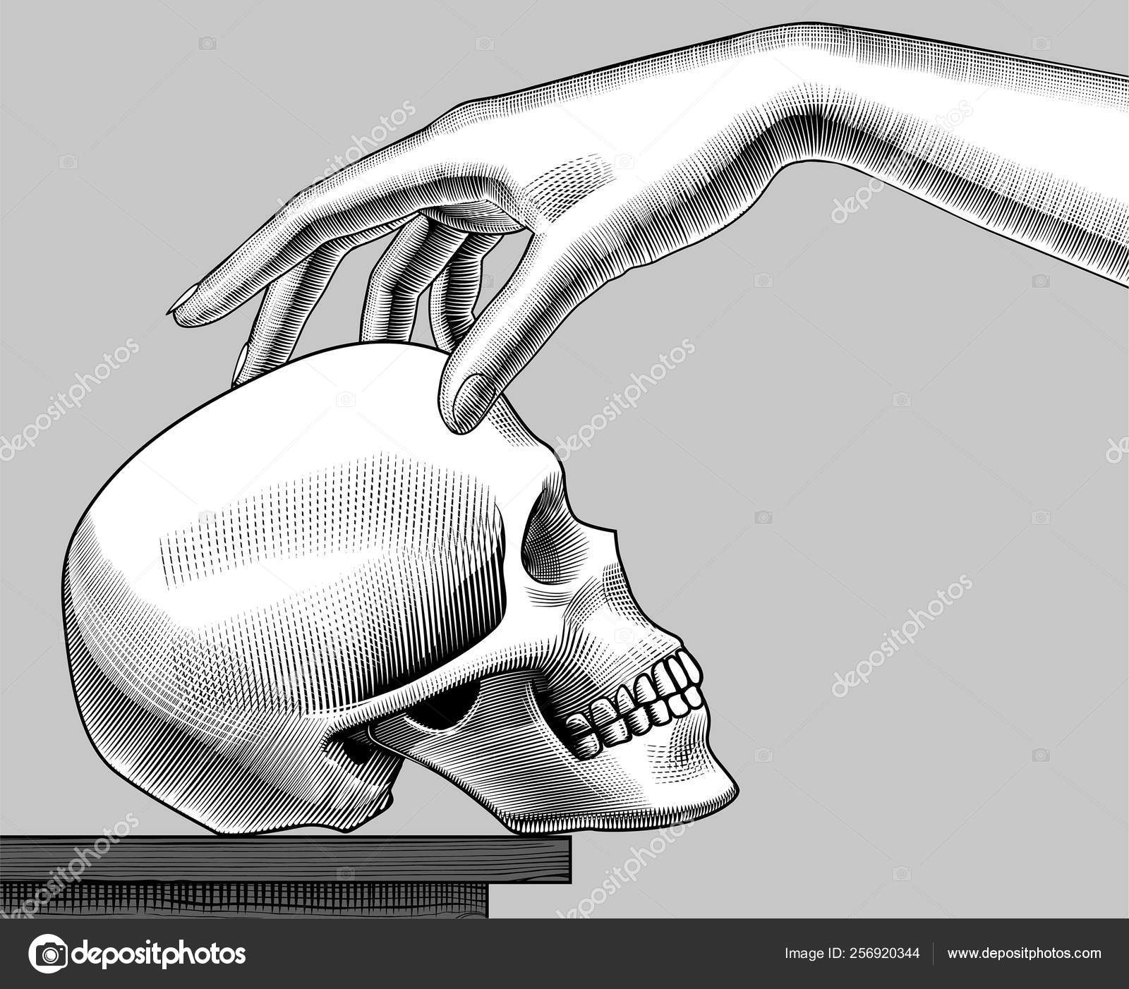 Female Hand With A Human Skull Half Face On The Table Vector Image By C Maystra Vector Stock Female Hand With A Human Skull Half Face On The Table Vector Image By C Maystra Vector Stock