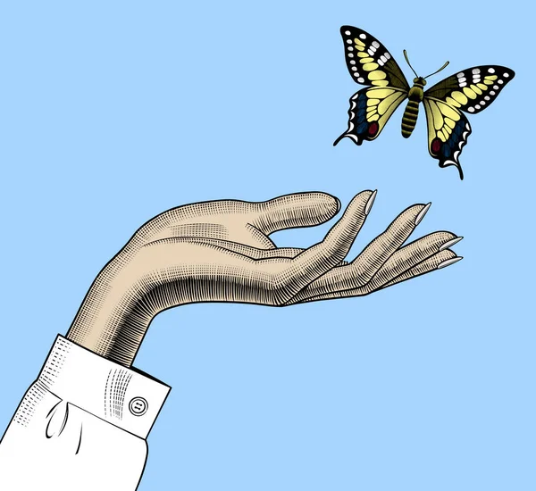 Womans Hand Butterfly Concepto Belleza Protección Naturaleza Dibujo Engranaje Vintage — Vector de stock