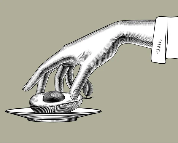 Γυναικείο Χέρι Παίρνει Από Ένα Πιάτο Μισό Αβοκάντο Εσοδεία Χάραξη — Διανυσματικό Αρχείο