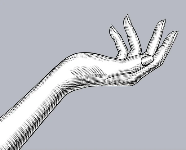 Die Weibliche Hand Streckt Die Handfläche Die Höhe Vintage Stich — Stockvektor