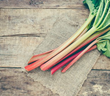 Taze ravent yaprakları ile yakın çekim