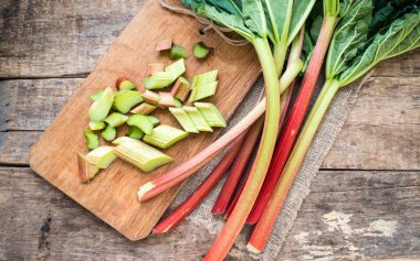 Taze ravent yaprakları ile yakın çekim