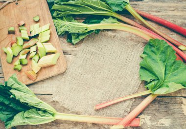 Taze ravent yaprakları ile yakın çekim