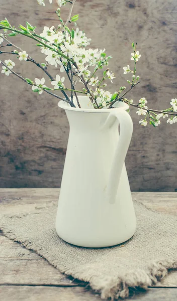 Blossom branch in vase on background,close up