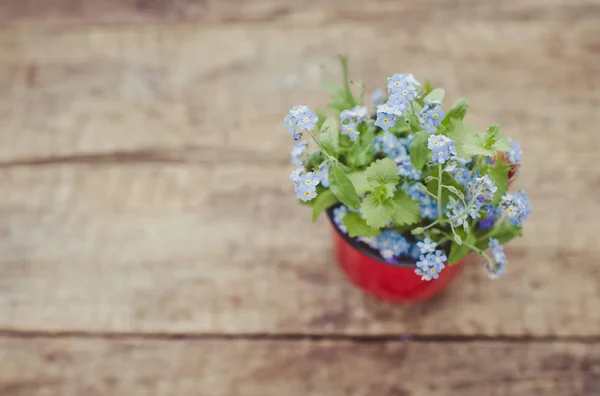 Esquece Não Flores Fundo Perto — Fotografia de Stock