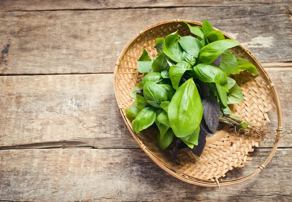 Fresh basil bunch on background,close up