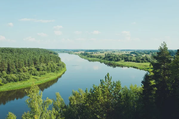 Rivière Forêt Avec Des Arbres Sur Fond — Photo