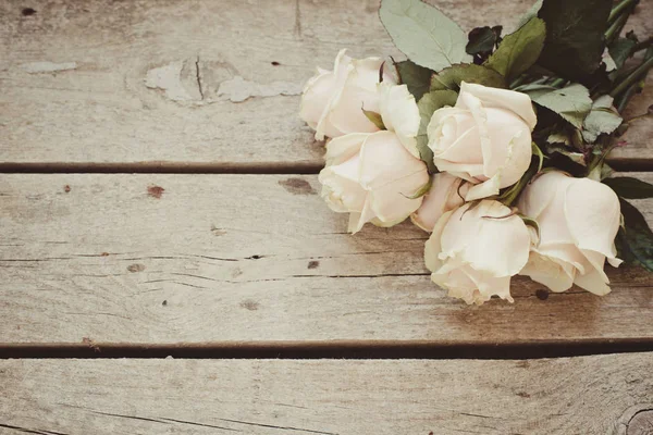 Romantic Background Roses Background Close — Stock Photo, Image