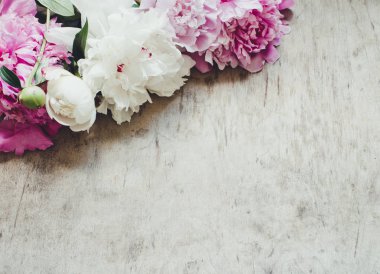 güzel peonies çiçek arka plan üzerinde kapat