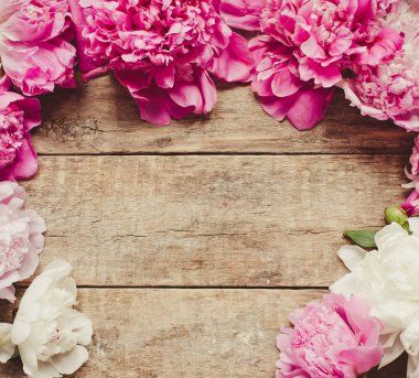 güzel peonies çiçek arka plan üzerinde kapat