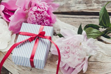 güzel peonies çiçek arka plan üzerinde kapat