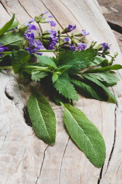 Otlar adaçayı arka plan üzerinde kapat