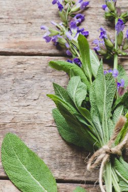 Otlar adaçayı arka plan üzerinde kapat