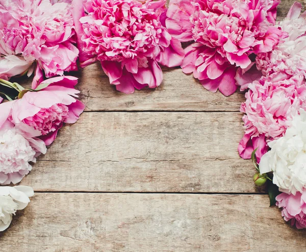 güzel peonies çiçek arka plan üzerinde kapat