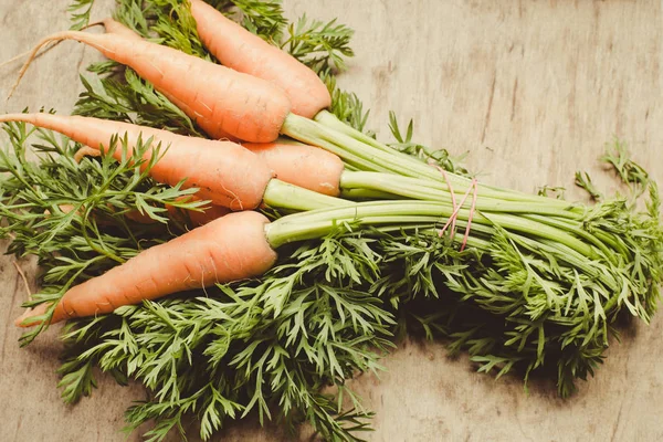 Havuç grup arka plan üzerinde kapat