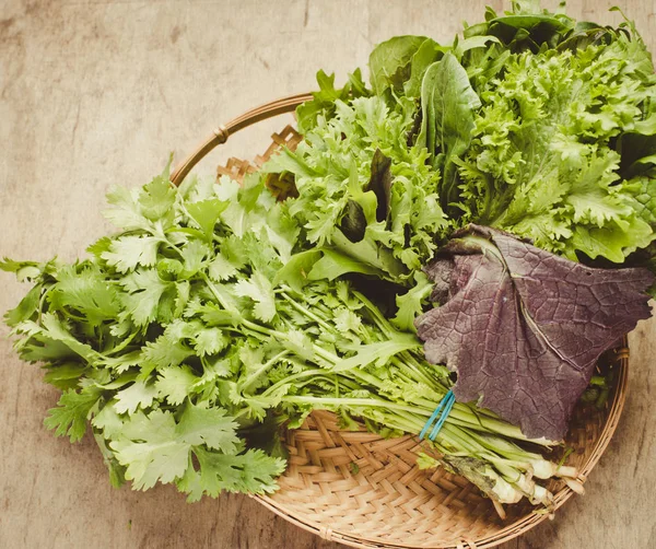 Bunches lettuce on background,close up