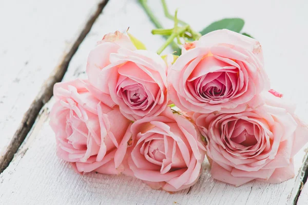 Pink Roses Background Close — Stock Photo, Image