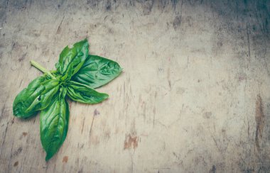 Fesleğen yaprakları ahşap arka plan üzerinde