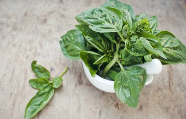 Fesleğen yaprakları ahşap arka plan üzerinde