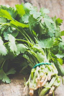 Salantro grup arka plan üzerinde kapat