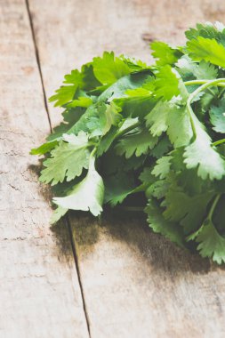 Salantro grup arka plan üzerinde kapat