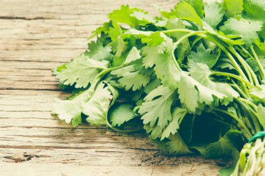 Salantro grup arka plan üzerinde kapat