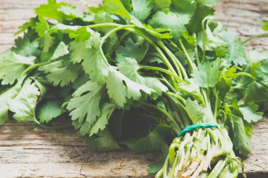 Salantro grup arka plan üzerinde kapat