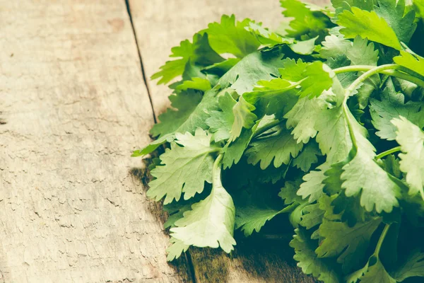 Cilantro Bunch Background Close — Stock Photo, Image