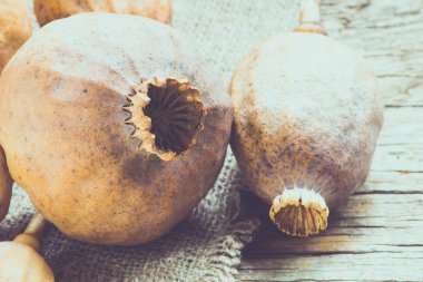 Haşhaş tohumları arka plan üzerinde ile yakın çekim