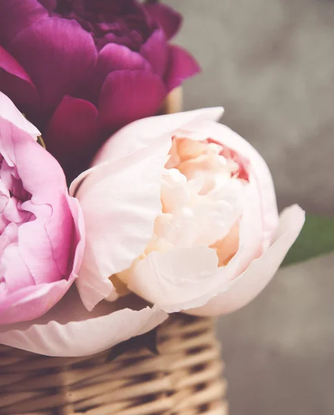 Hermosas Flores Peonías Fondo Cerca — Foto de Stock